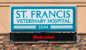 Toledo Veterinarian  Veterinary Hospital | Sylvania, Ohio