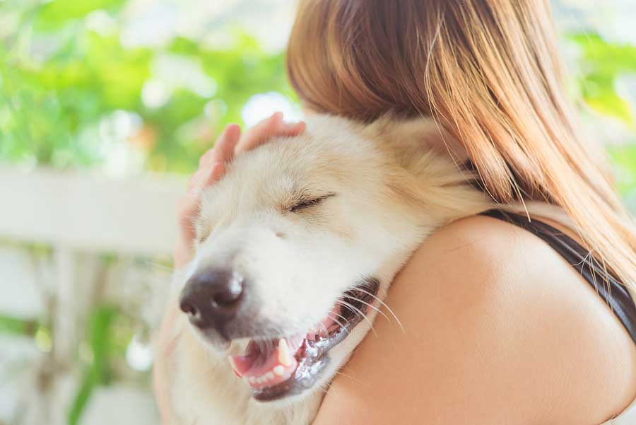 Dog Wellness Tips: a woman hugging her dog
